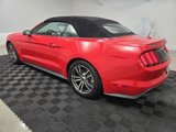 Used 2016 Ford Mustang Premium image 4