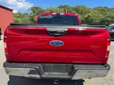 Certified 2019 Ford F150 XLT w/ Equipment Group 302A Luxury image 3
