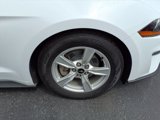 Used 2021 Ford Mustang Coupe image 4
