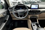 Used 2022 Ford Escape SEL image 5