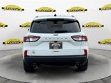 Certified 2022 Ford Escape SE w/ SE Sport Appearance Package image 4
