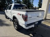 Used 2013 Ford F150 FX4 w/ Luxury Equipment Group image 3