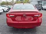 Used 2020 Honda Accord EX image 5