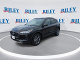 New 2025 Ford Escape ST-Line w/ Cold Weather Package image 4