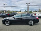 Used 2015 Honda Accord Touring image 4