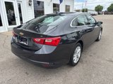 Used 2023 Chevrolet Malibu LT image 5