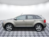 Used 2014 Ford Edge SEL w/ Equipment Group 205A image 4