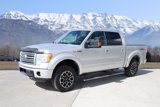 Used 2012 Ford F150 Platinum image 2