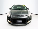 Used 2016 Ford Escape Titanium image 2