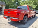 Used 2023 Ford F150 XLT w/ Equipment Group 302A High image 4