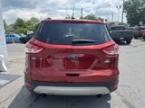 Used 2016 Ford Escape SE w/ SE Leather Comfort Package image 5