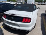 Used 2022 Ford Mustang Premium image 6