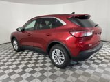 Used 2020 Ford Escape SE image 5