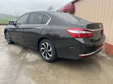 Used 2017 Honda Accord EX image 4