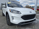 Certified 2022 Ford Escape SEL image 2