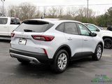 New 2025 Ford Escape Active w/ Active Premium Tech Pack image 5