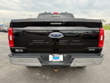 Used 2023 Ford F150 XLT w/ Equipment Group 302A High image 4