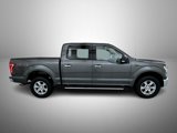 Used 2015 Ford F150 XLT w/ Equipment Group 302A Luxury image 4