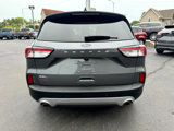 Used 2022 Ford Escape SEL image 5