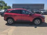 Certified 2022 Ford Escape SE w/ Convenience Package image 4
