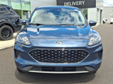 Used 2020 Ford Escape SE image 2