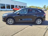 Used 2022 Ford Escape SE image 2