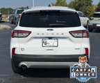 Used 2020 Ford Escape SE image 5