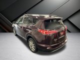 Used 2017 Toyota RAV4 Limited image 3