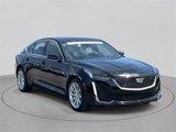 Certified 2023 Cadillac CT5 Luxury w/ Sun And Sound Package image 6