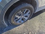 Certified 2022 Volkswagen Tiguan SE image 2