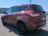 Used 2014 Ford Escape SE image 6