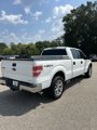 Used 2011 Ford F150 XL w/ XL Plus Pkg image 6