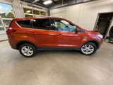Used 2019 Ford Escape SE image 6