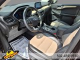 Used 2021 Ford Escape Titanium w/ Titanium Elite Package image 4