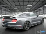 Used 2022 Ford Mustang Coupe w/ Equipment Group 101A image 5