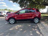 Used 2020 Ford EcoSport SE image 4