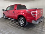 Used 2012 Ford F150 XLT image 6