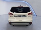 Used 2014 Ford Escape Titanium image 5