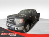 Used 2014 Ford F150 XL w/ Equipment Group 101A Mid image 3
