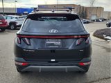 Used 2024 Hyundai Tucson Limited image 4