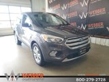 Used 2019 Ford Escape SE image 2