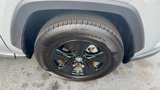 Used 2019 Toyota RAV4 XLE image 4