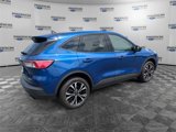 Used 2022 Ford Escape SE w/ SE Sport Appearance Package image 5