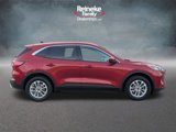 Used 2020 Ford Escape SE image 4