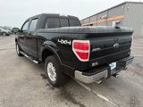 Used 2010 Ford F150 4x4 SuperCrew image 5