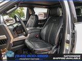 Used 2016 Ford F150 Platinum w/ Equipment Group 701A Luxury image 4