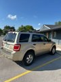 Used 2010 Ford Escape XLT image 6