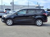 Used 2019 Ford Escape SE image 3