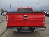 Used 2014 Ford F150 XLT image 6