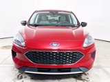 Certified 2022 Ford Escape SE image 4